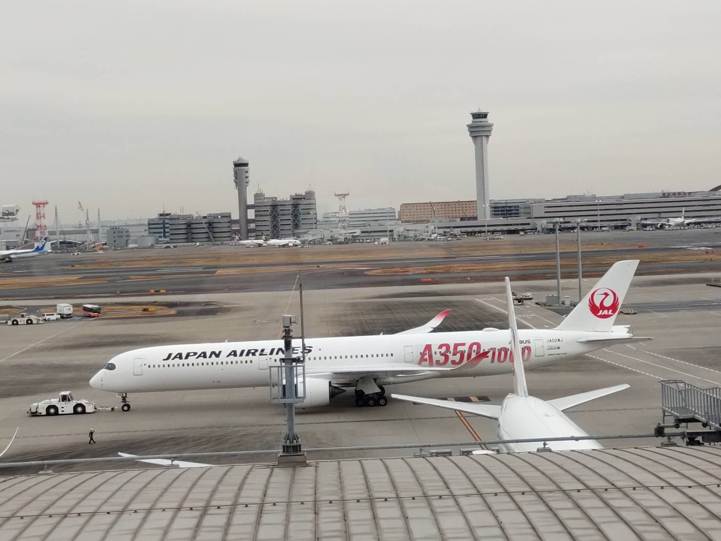世界一周航空券の魅力