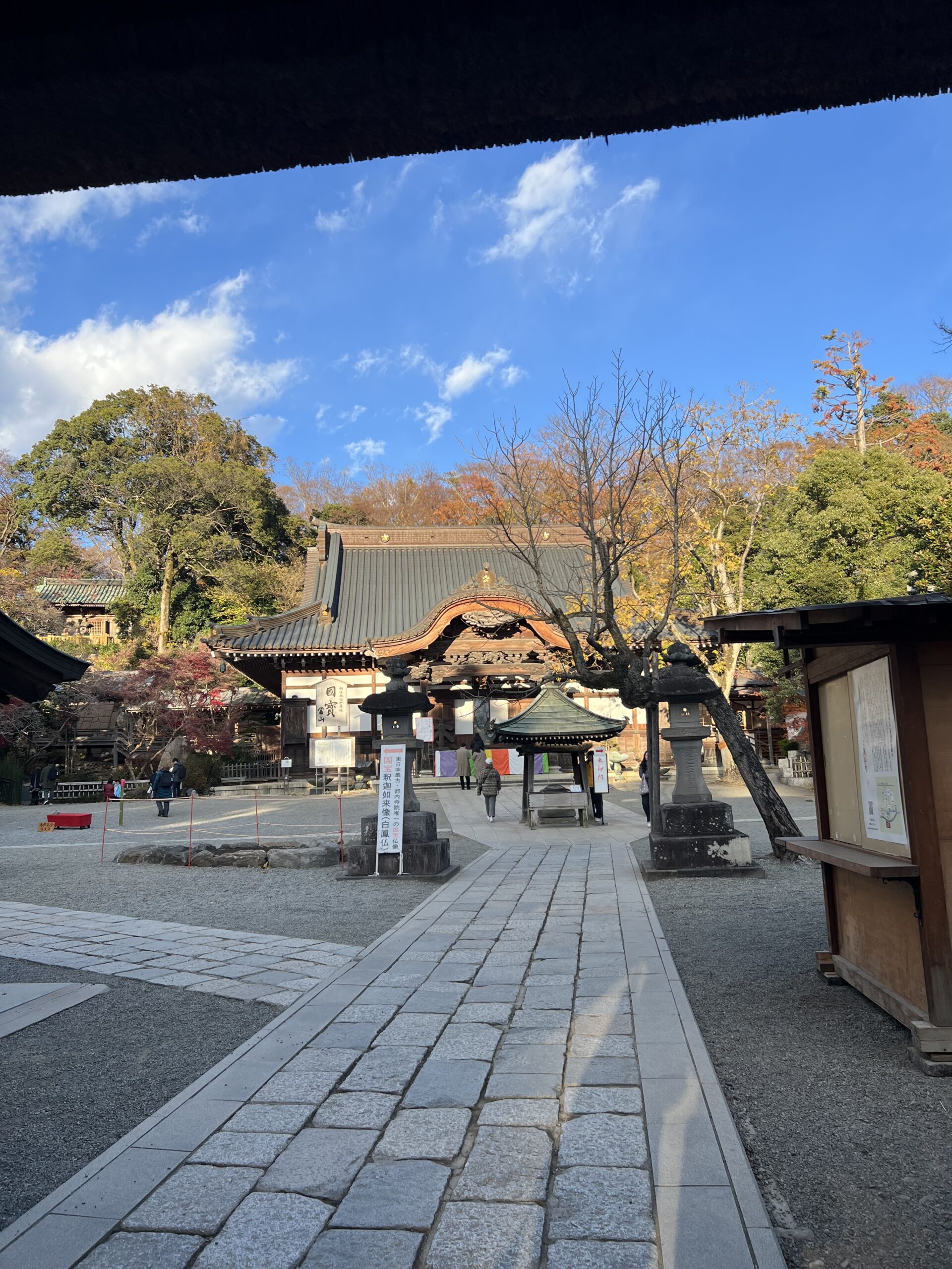 都内で楽しむ秋の紅葉
