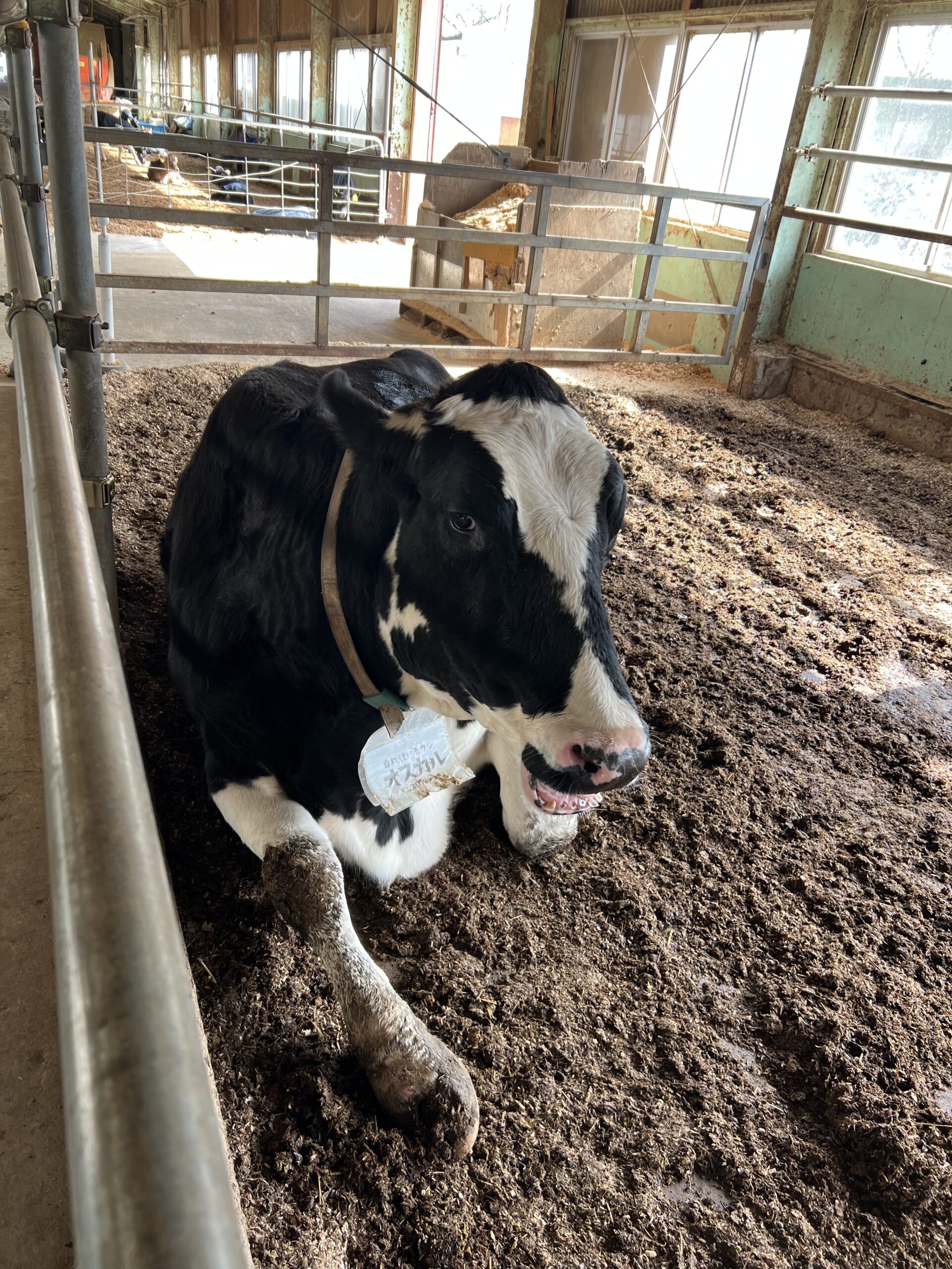 春のおすすめ日帰り旅行